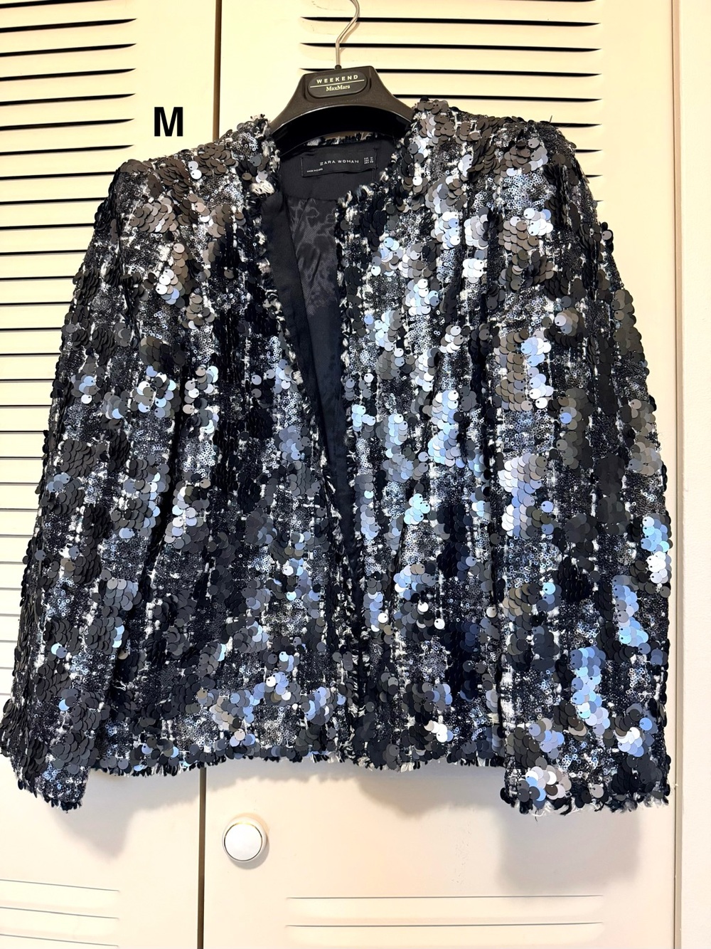 Zara Sequin Blazer Jacket